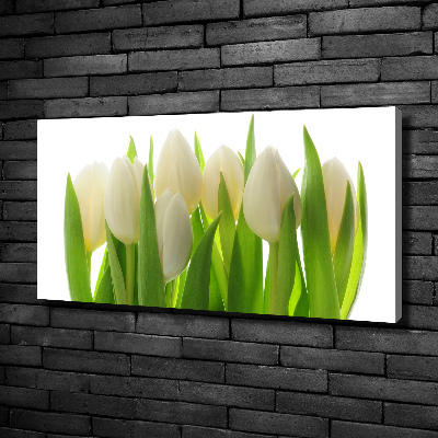 Foto obraz na plátně Tulipány