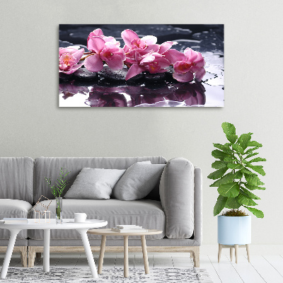 Foto obraz na plátně do obýváku Růžová orchidej