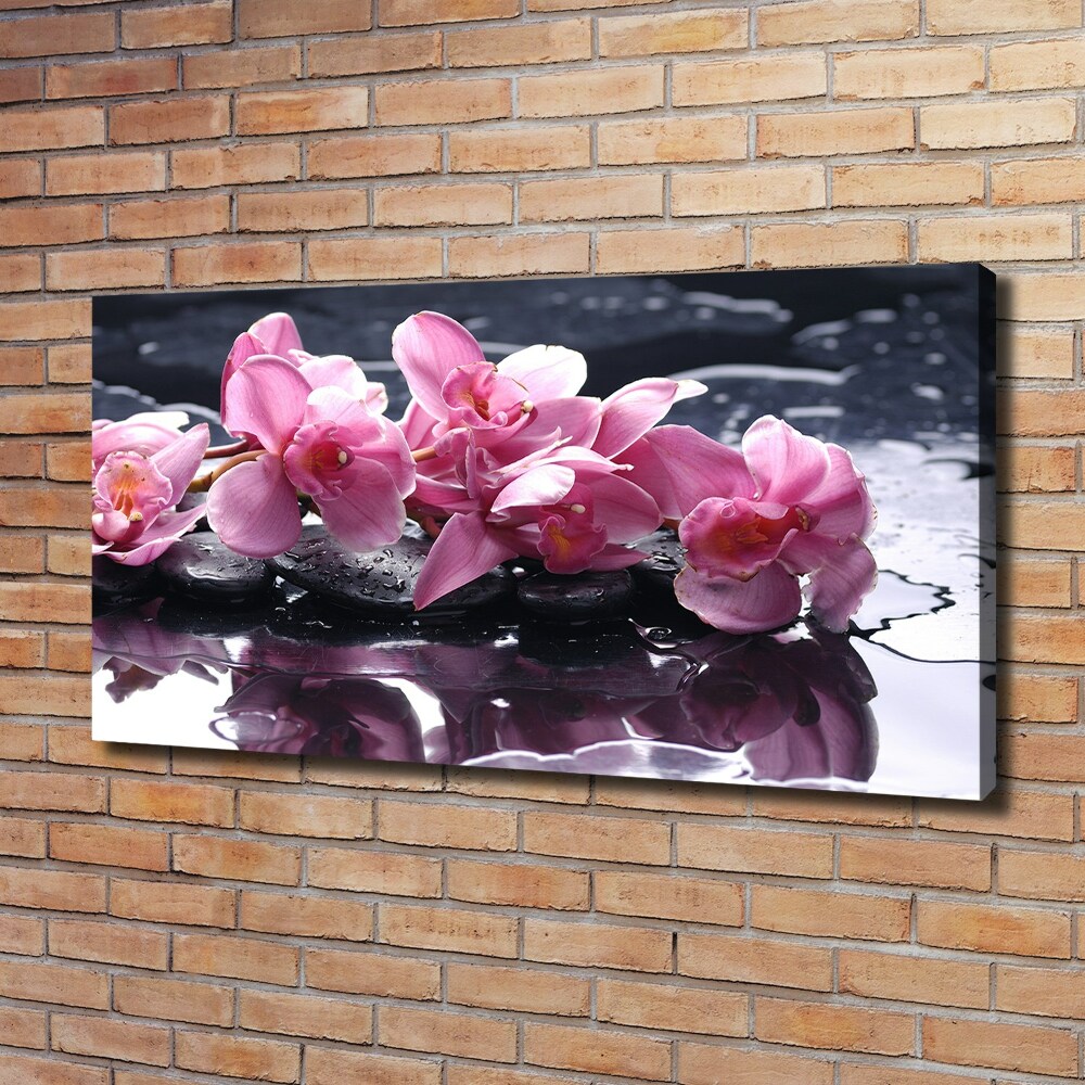 Foto obraz na plátně do obýváku Růžová orchidej