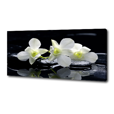 Foto-obraz canvas do obýváku Orchidej