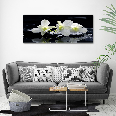 Foto-obraz canvas do obýváku Orchidej