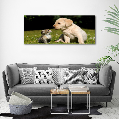 Foto obraz na plátně Pes a kočka na louce