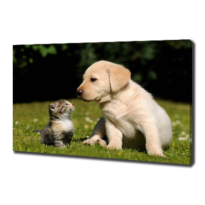 Foto obraz na plátně Pes a kočka na louce