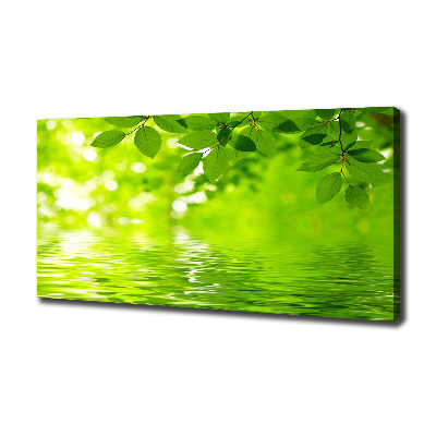 Moderní obraz canvas na rámu Zelené listí