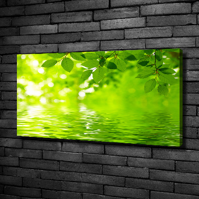 Moderní obraz canvas na rámu Zelené listí