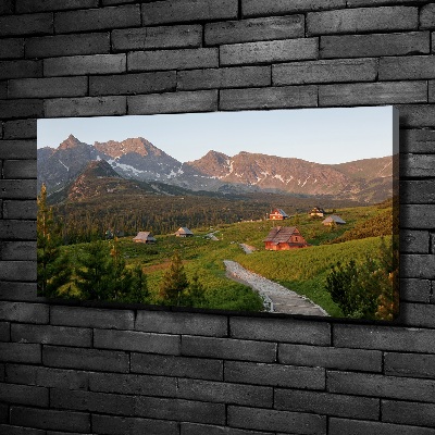 Foto obraz na plátně Polana v Tatrách