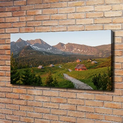 Foto obraz na plátně Polana v Tatrách