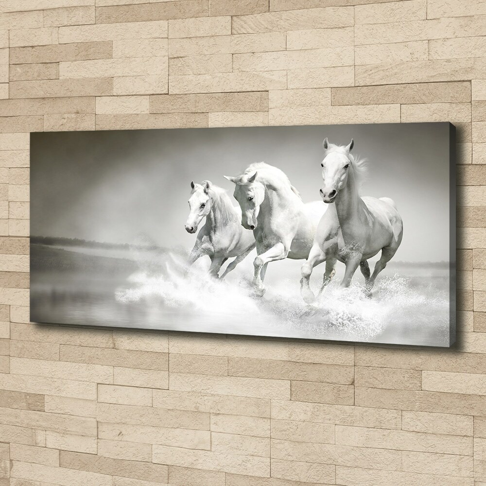 Foto obraz canvas Bílí koně