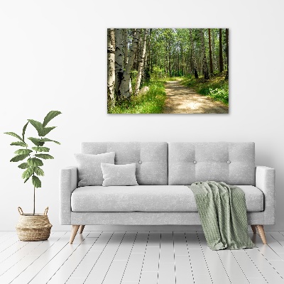 Foto obraz na plátně Stezka v lese