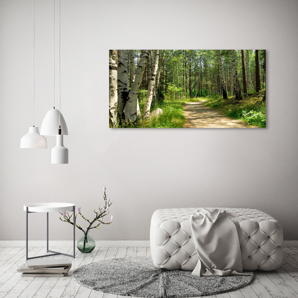 Foto obraz na plátně Stezka v lese