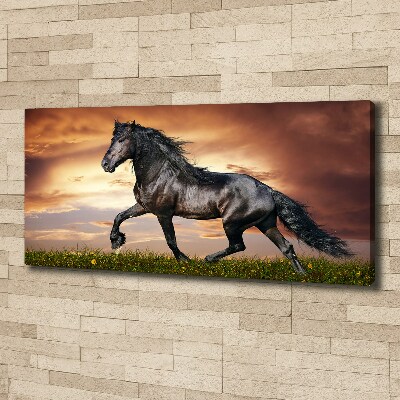 Foto obraz na plátně do obýváku Klusající kůň