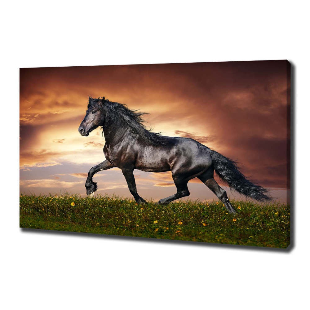 Foto obraz na plátně do obýváku Klusající kůň