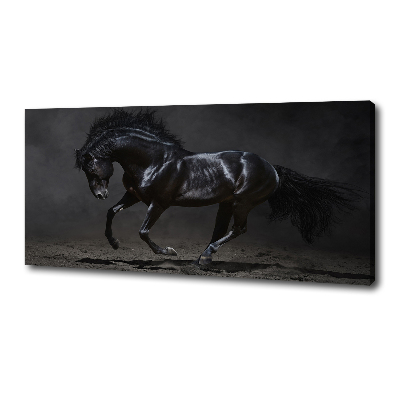 Foto obraz na plátně do obýváku Černý kůň