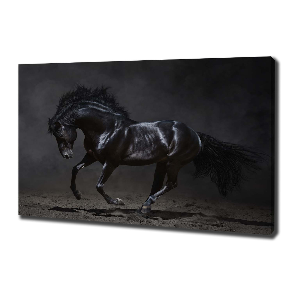 Foto obraz na plátně do obýváku Černý kůň