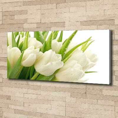 Foto obraz tištěný na plátně Bílé tulipány