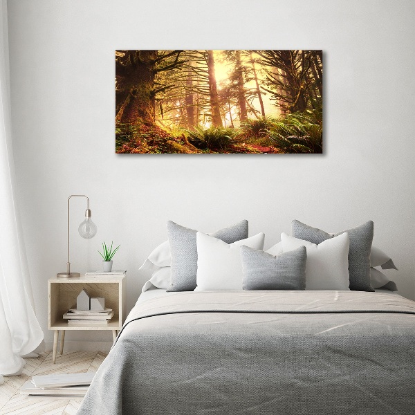 Foto obraz na plátně Dešťový prales