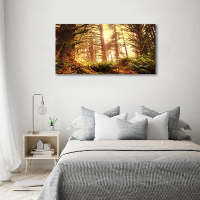Foto obraz na plátně Dešťový prales