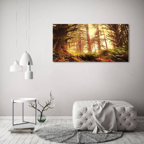 Foto obraz na plátně Dešťový prales
