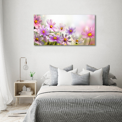 Foto obraz canvas Květiny na louce