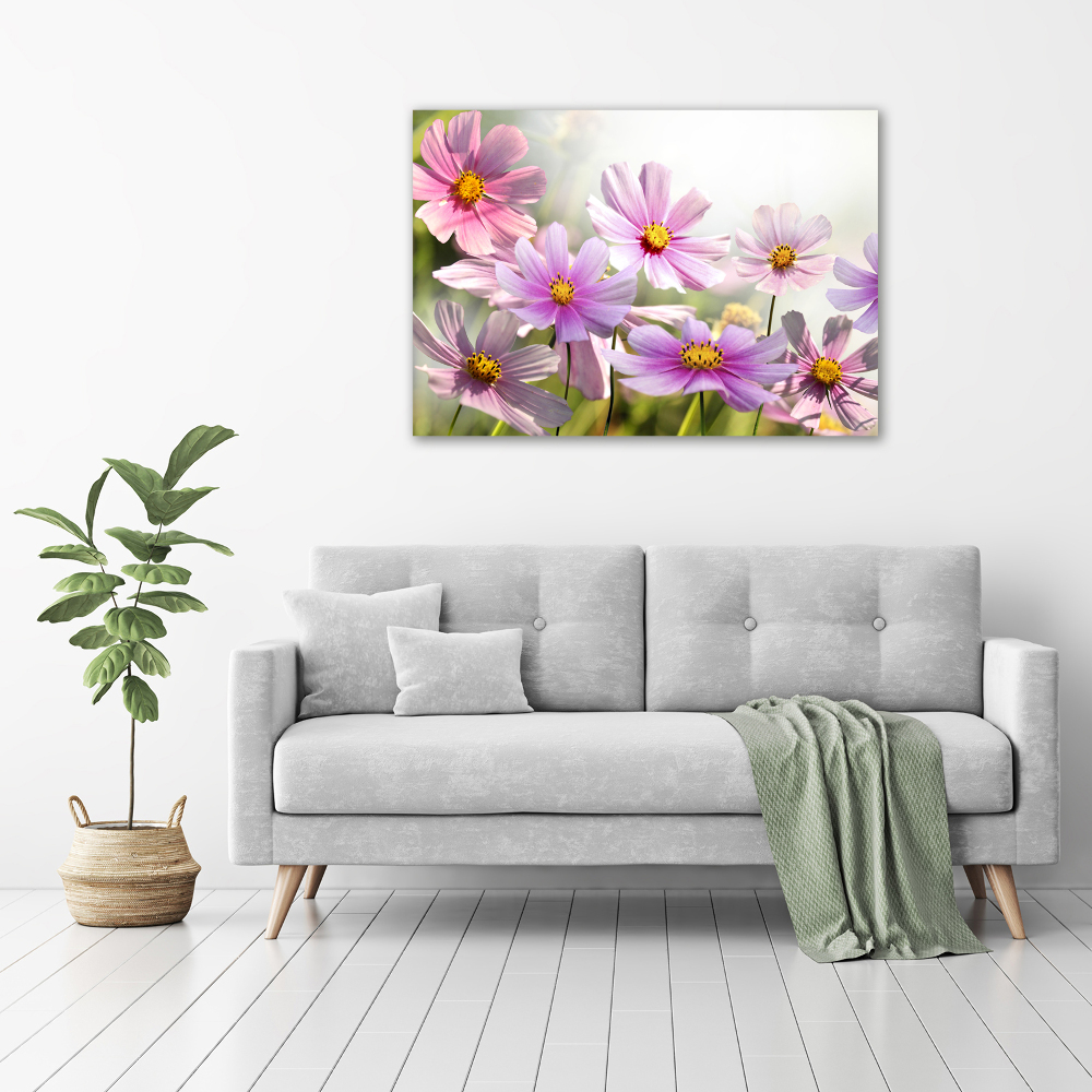 Foto obraz canvas Květiny na louce