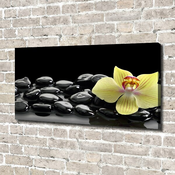 Foto obraz canvas Orchidej