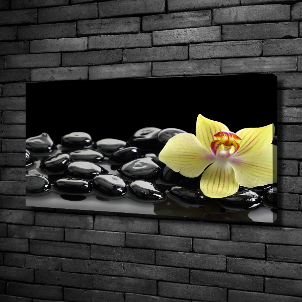 Foto obraz canvas Orchidej