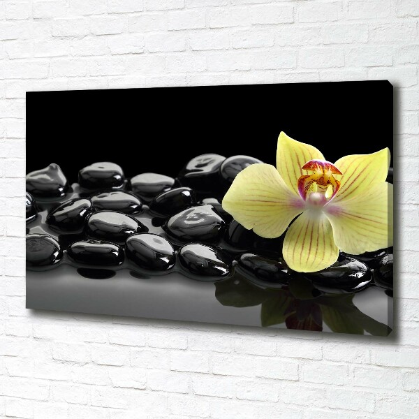 Foto obraz canvas Orchidej