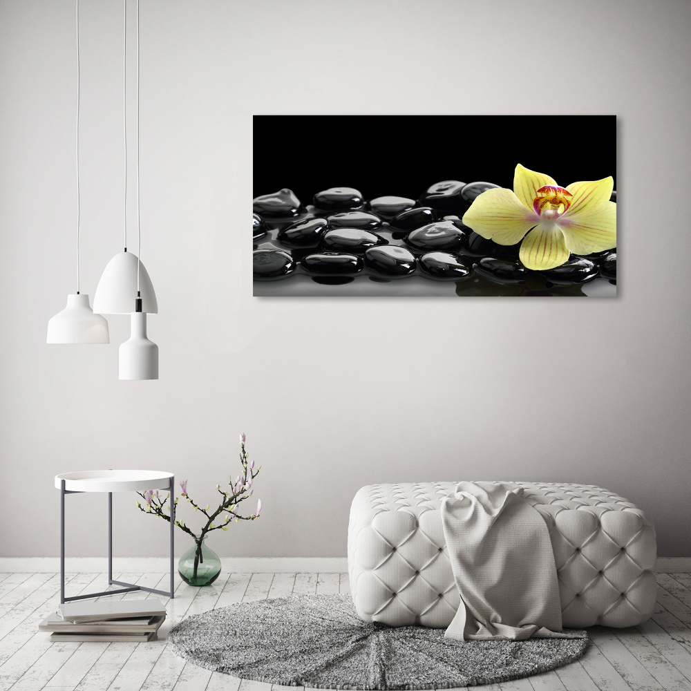 Foto obraz canvas Orchidej