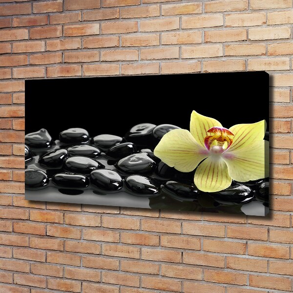 Foto obraz canvas Orchidej