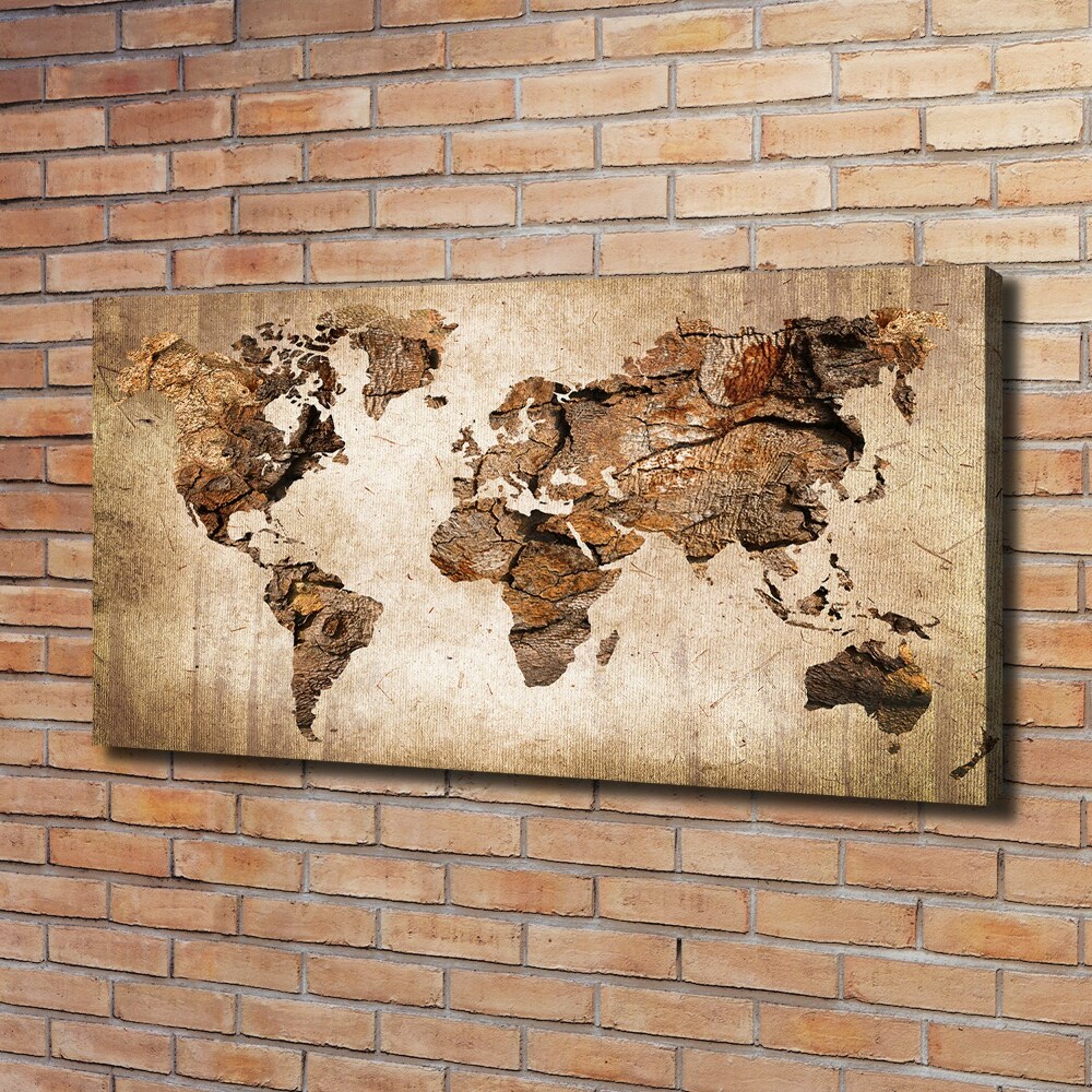 Foto obraz canvas Mapa světa dřevo
