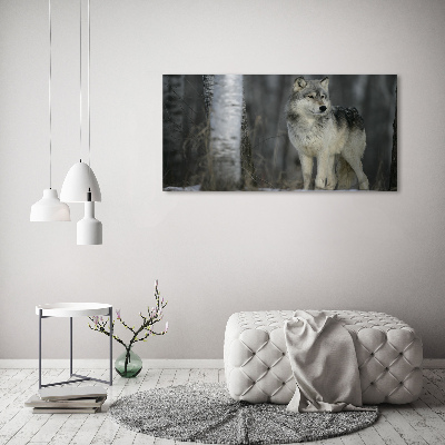 Foto obraz canvas Šedý vlk