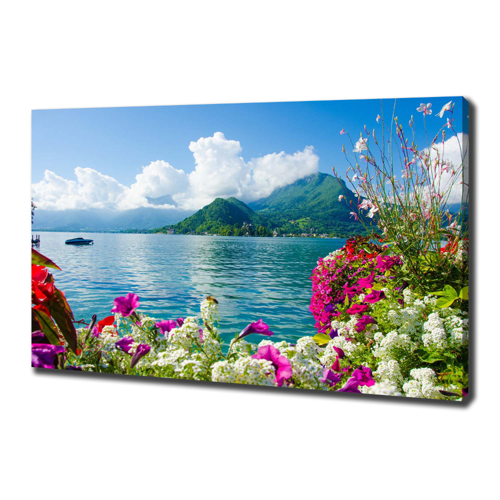 Moderní fotoobraz canvas na rámu Květiny nad jezerem