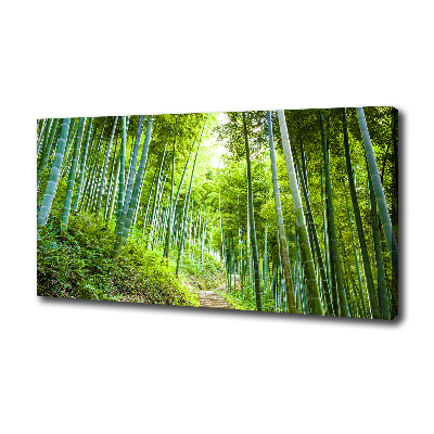 Foto obraz na plátně Bambusový les