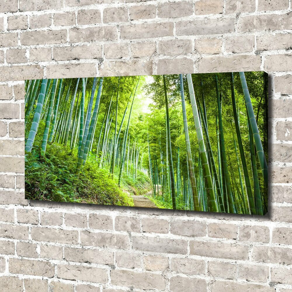 Foto obraz na plátně Bambusový les