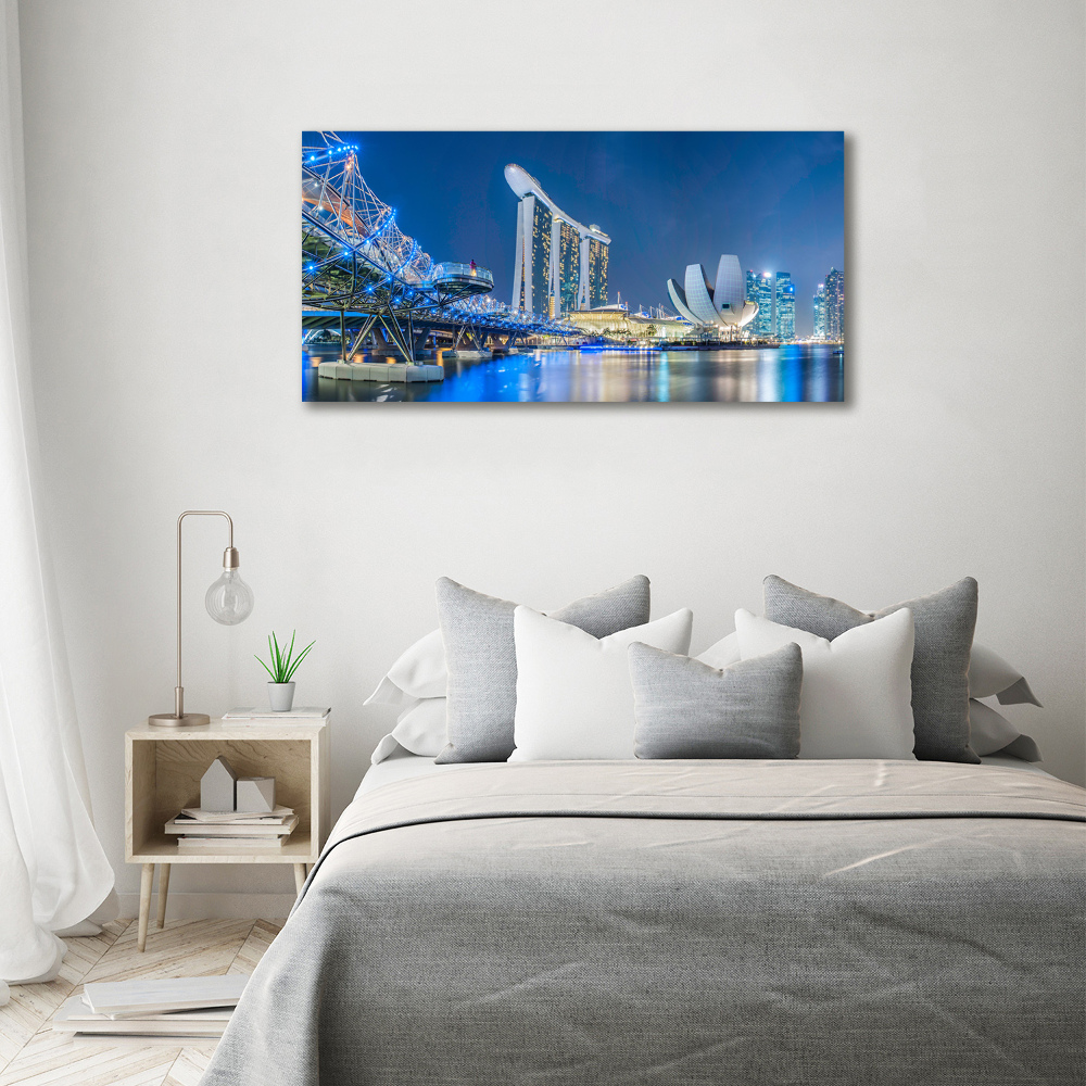 Moderní obraz canvas na rámu Singapur noc