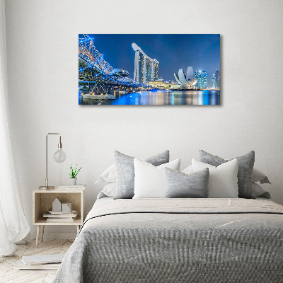 Moderní obraz canvas na rámu Singapur noc