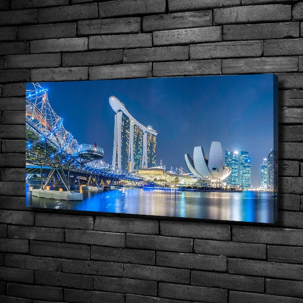 Moderní obraz canvas na rámu Singapur noc