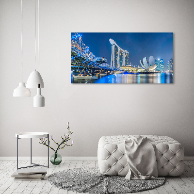 Moderní obraz canvas na rámu Singapur noc