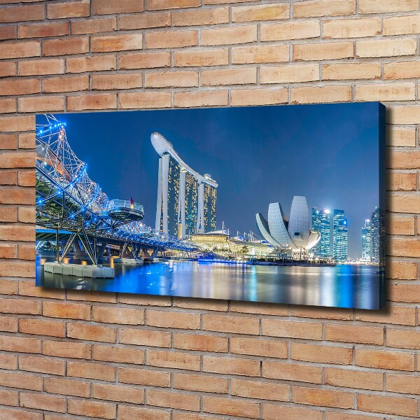 Moderní obraz canvas na rámu Singapur noc