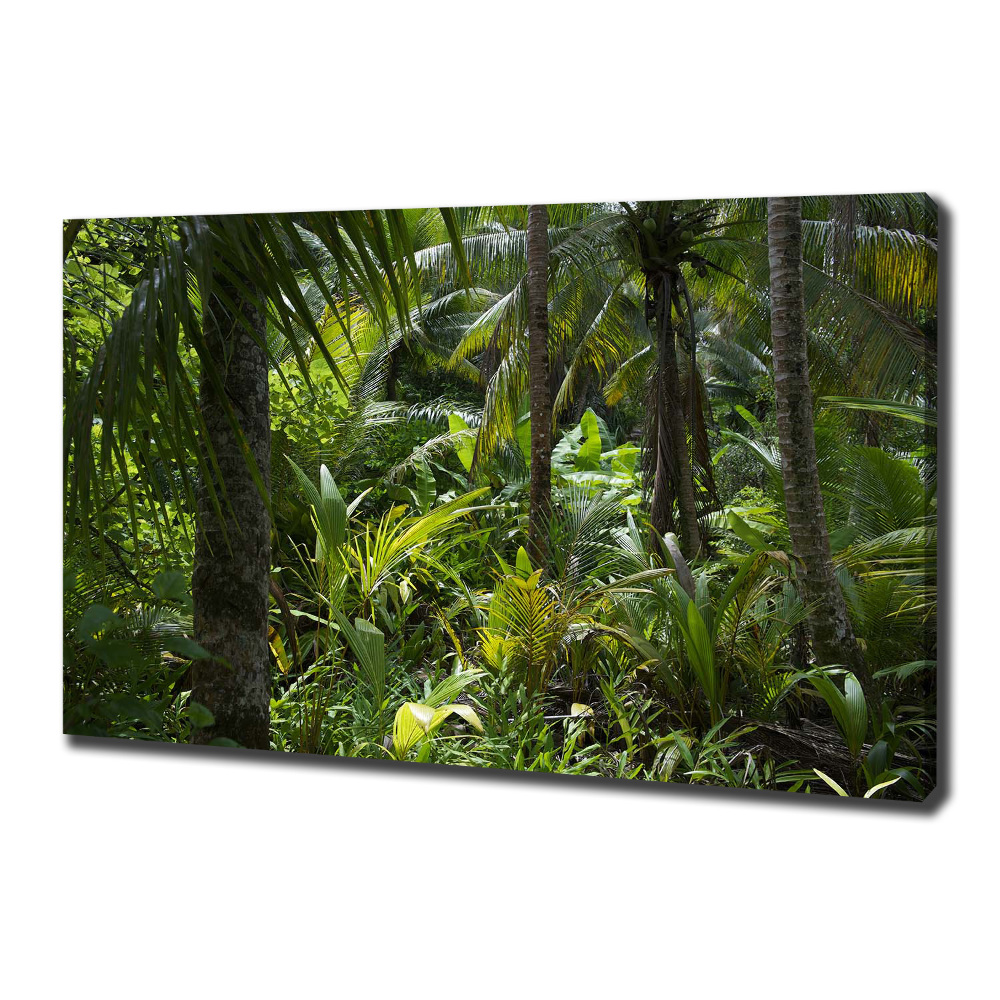 Foto obraz na plátně Tropický les
