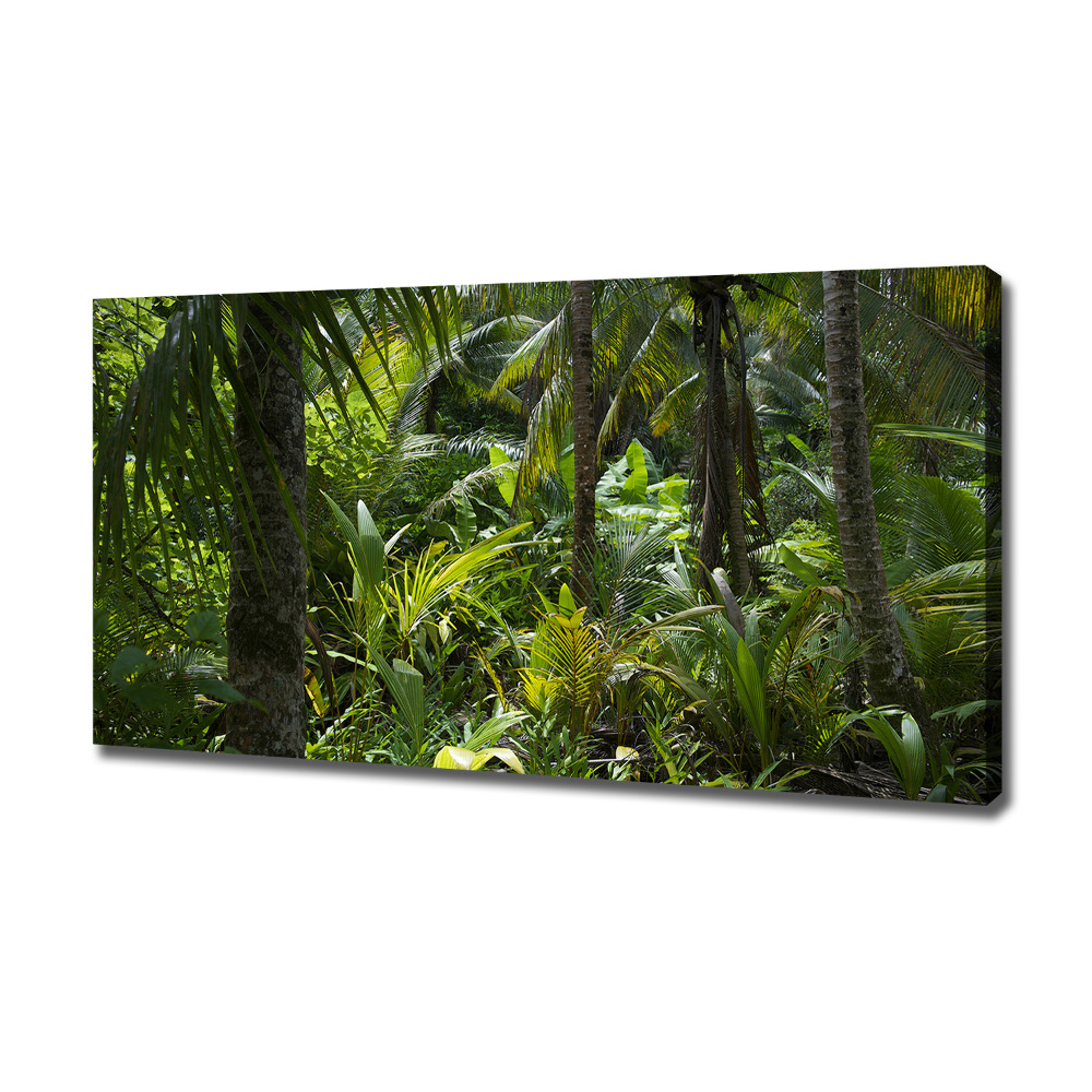 Foto obraz na plátně Tropický les