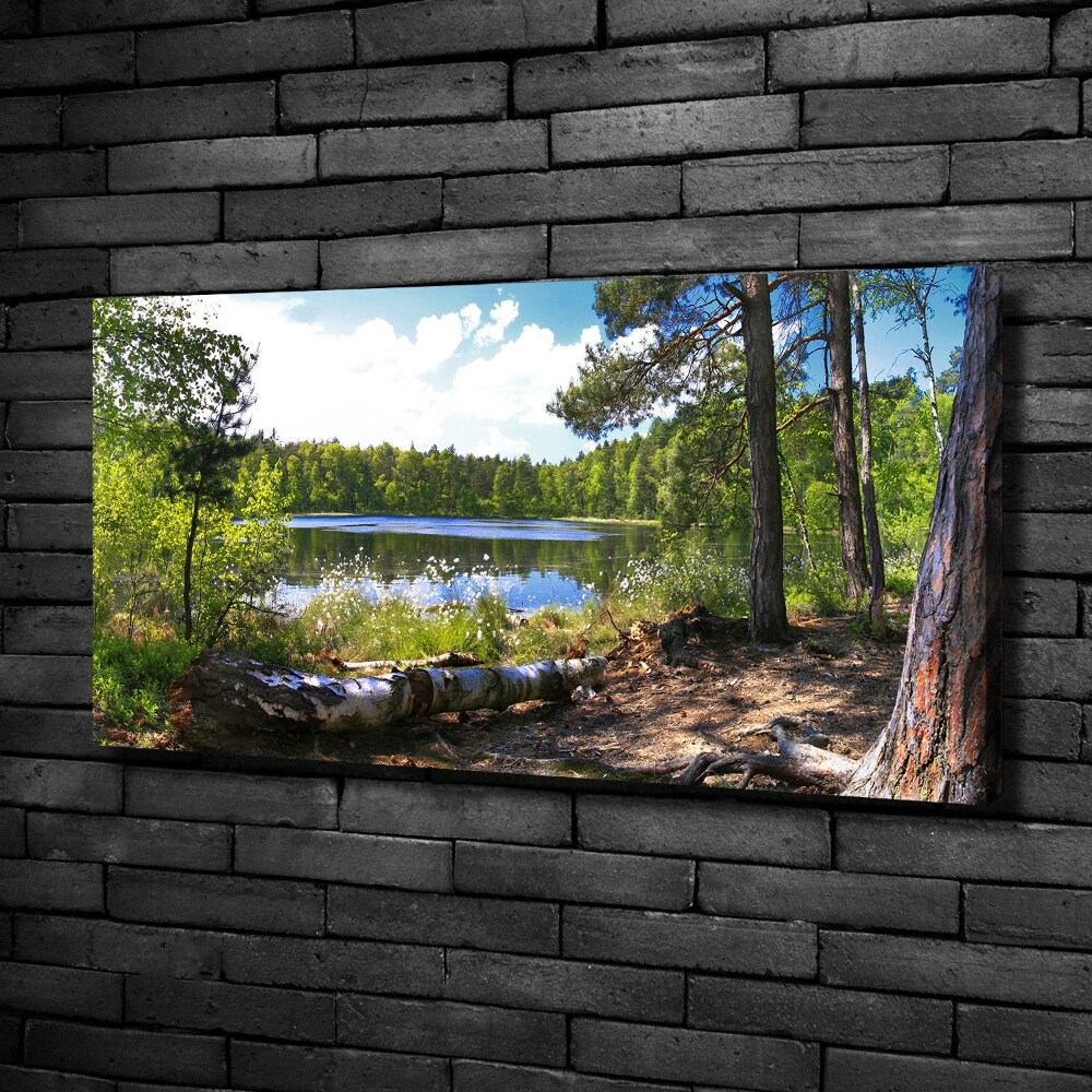 Foto obraz na plátně do obýváku Lesní panorama