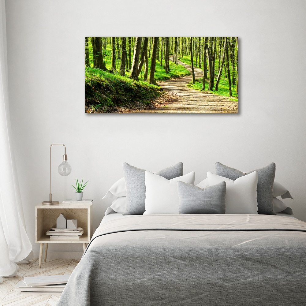 Foto obraz na plátně do obýváku Stezka v lese