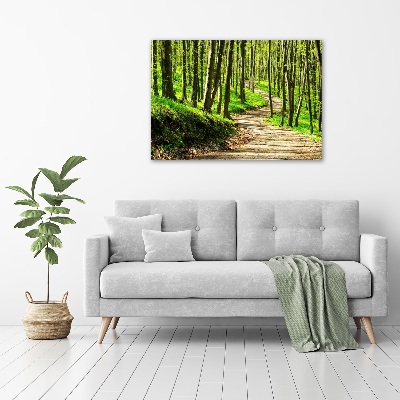 Foto obraz na plátně do obýváku Stezka v lese