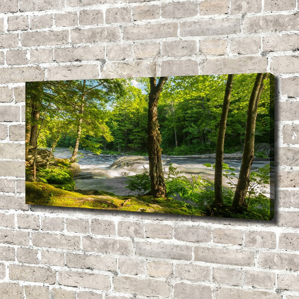 Foto obraz na plátně Řeka v lese