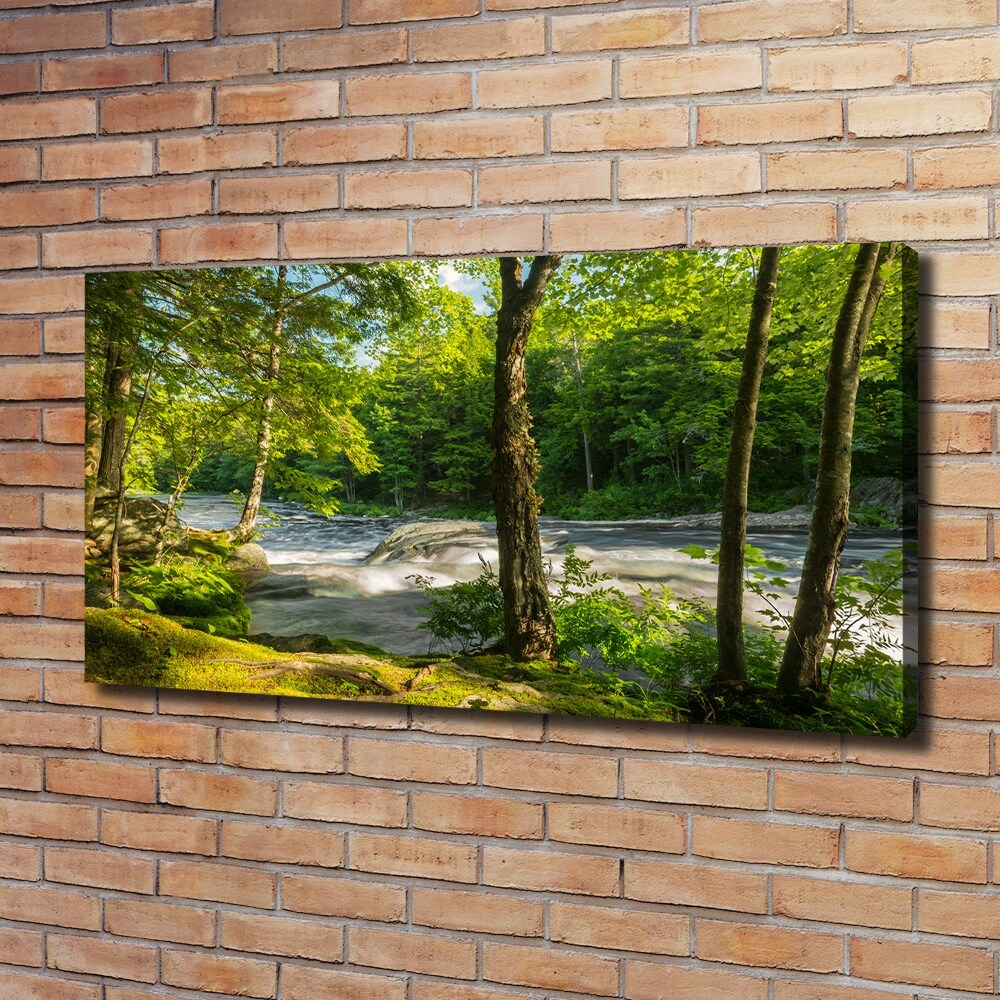Foto obraz na plátně Řeka v lese