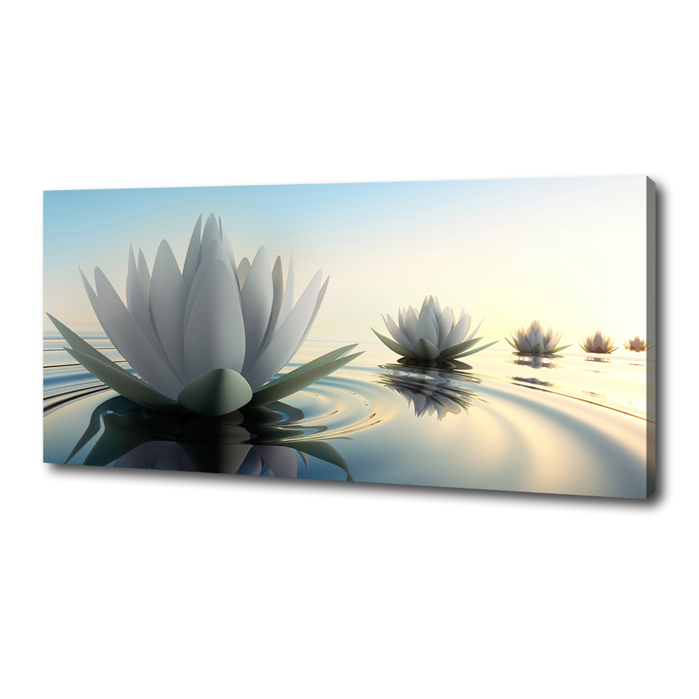 Foto obraz na plátně Květ lotosu