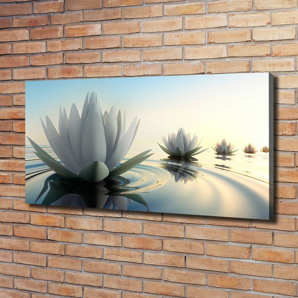 Foto obraz na plátně Květ lotosu