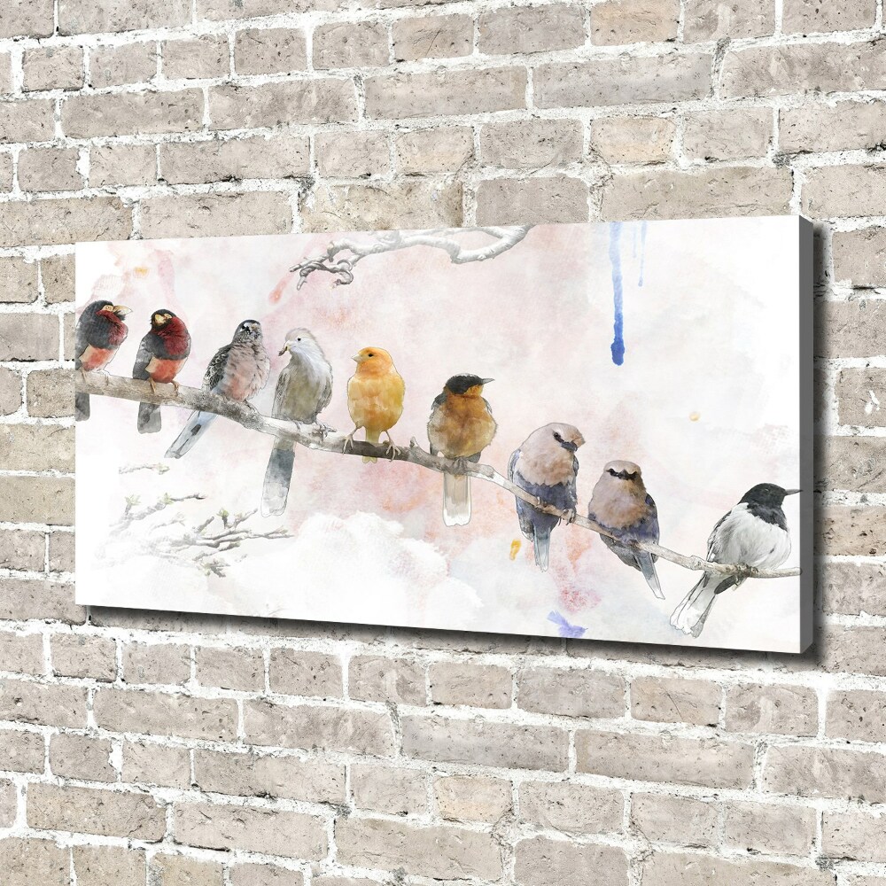 Foto obraz na plátně Ptáci na větvi