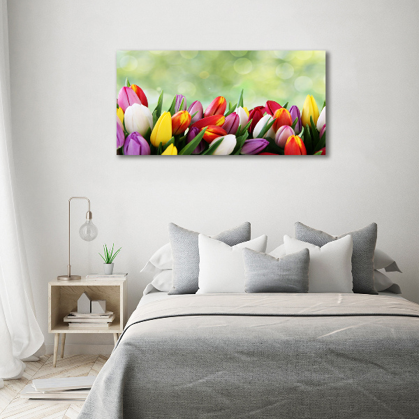 Moderní obraz canvas na rámu Barevné tulipány